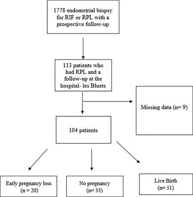 The Endometrial Immune Profiling May Positively Affect the Management of Recurrent Pregnancy Loss